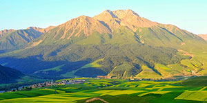 甘肅建投生態(tài)建設(shè)集團(tuán)有限公司隸屬于中國(guó)500強(qiáng)企業(yè)—甘肅省建設(shè)投資（控股）集團(tuán)有限公司，是甘肅建投貫徹落實(shí)“五位一體”總體布局和新發(fā)展理念，推進(jìn)生態(tài)治理板塊發(fā)展的新業(yè)態(tài)公司。